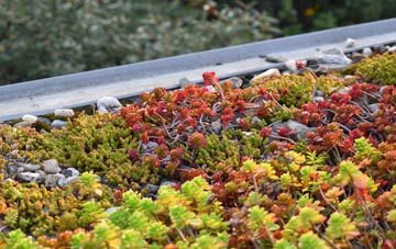 the cost of Stainfield green roof installation