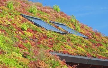 Stainfield living roof systems